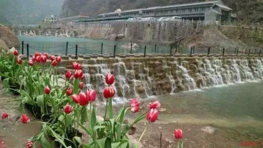 记者:贾洛今晚抵达都灵,明天早上接受尤文体检